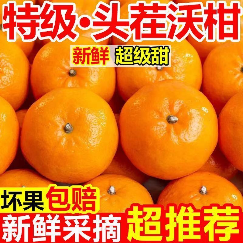 云南高山沃柑大量现货供应支持电商一件代发保质保量