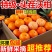 云南高山沃柑大量现货供应支持电商一件代发保质保量