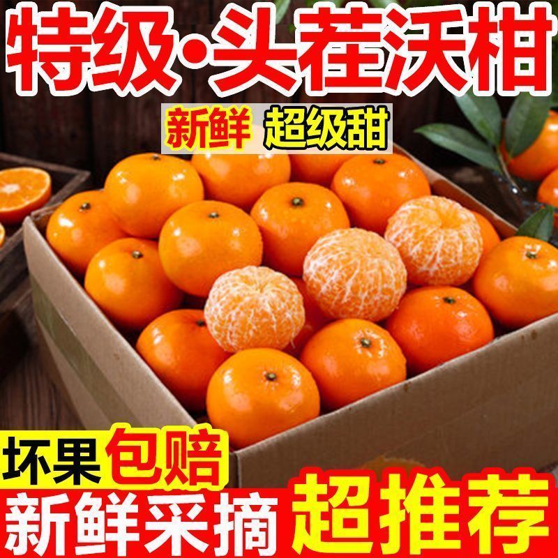 云南高山沃柑大量现货供应支持电商一件代发保质保量