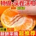 云南高山沃柑大量现货供应支持电商一件代发保质保量