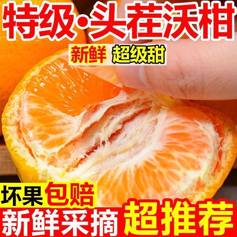 云南高山沃柑大量现货供应支持电商一件代发保质保量