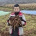 当归新鲜现货秒发原产地直供欢迎电话咨询