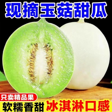 《玉菇甜瓜》海南甜瓜/产地货源/保质保量/实力代办代发