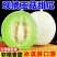 《玉菇甜瓜》海南甜瓜/产地货源/保质保量/实力代办代发