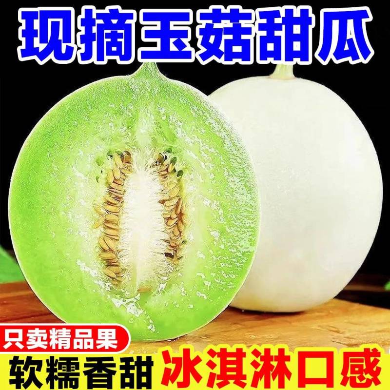《玉菇甜瓜》海南甜瓜/产地货源/保质保量/实力代办代发