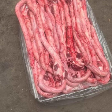 牛鞭