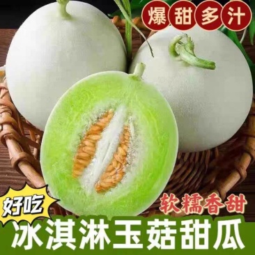 《精品甜瓜》玉菇甜瓜/奶香蜜甜瓜/产地货源/实力代办代发