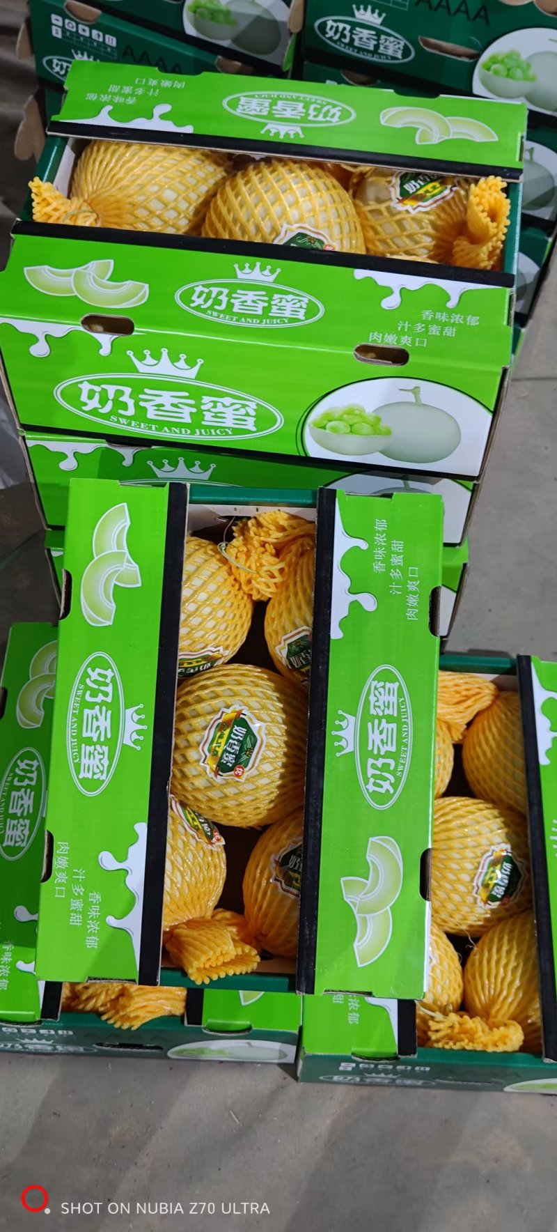 《精品甜瓜》玉菇甜瓜/奶香蜜甜瓜/产地货源/实力代办代发