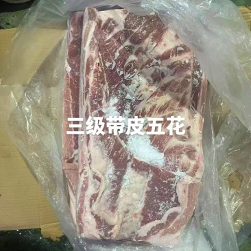 三级带皮五花肉，猪五花，整车15200/吨，新货抄码