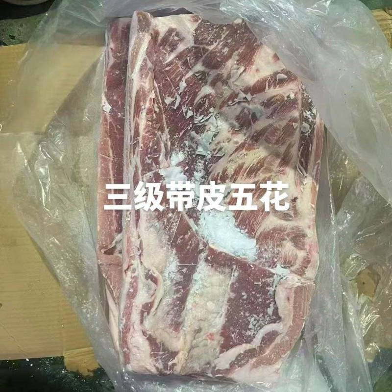 三级带皮五花肉，猪五花，整车15200/吨，新货抄码