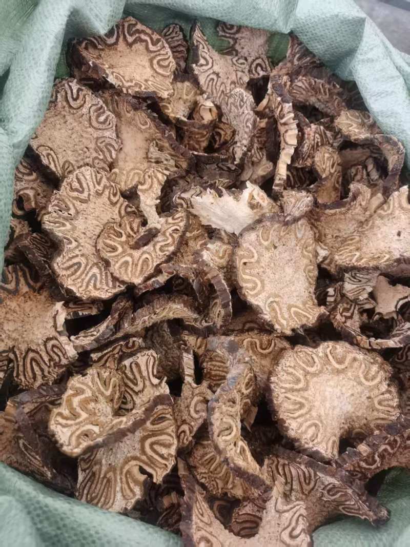 龙骨风长期稳定供应保质保量量大从优欢迎咨询