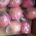 山西万荣县红富士苹果果肉脆甜色泽鲜艳（80精品大果）
