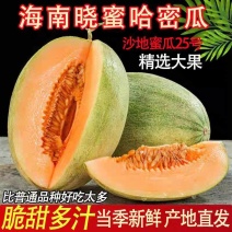 《海南晓蜜25》网文瓜/电商货源/一件代发/整车批发