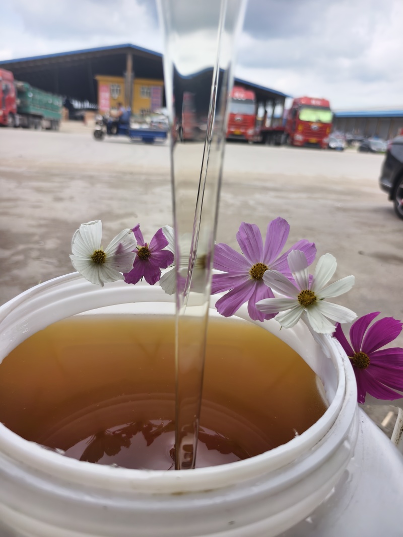 椴树蜜