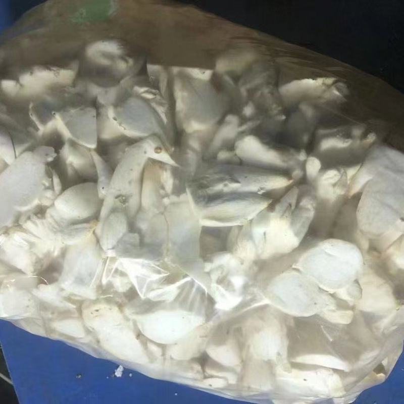 新鲜菇片长年供应产地直销