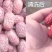新疆阿克苏灰枣