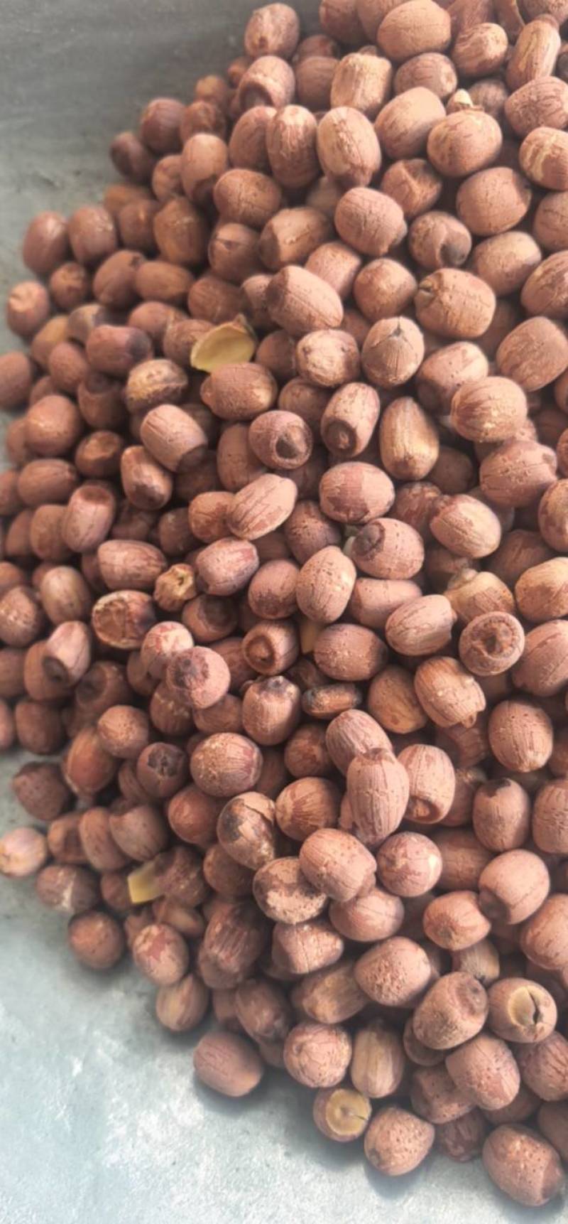 《红莲子》莲子带芯红莲子选好药尽在聚源中药