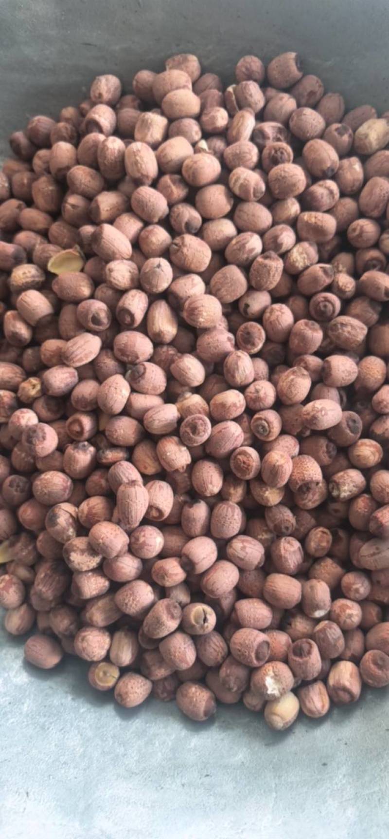《红莲子》莲子带芯红莲子选好药尽在聚源中药