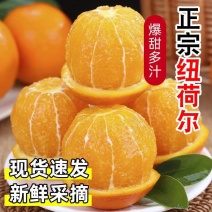 湖北宜昌产地直发正宗纽荷尔橙75%出汁率香甜多汁