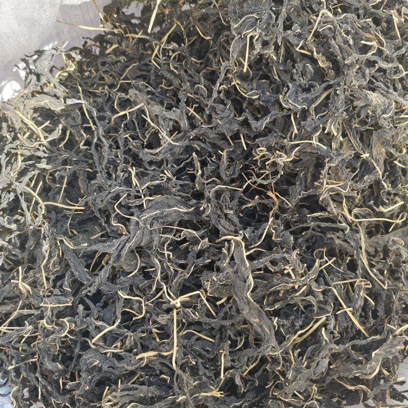 芝麻叶大量上市