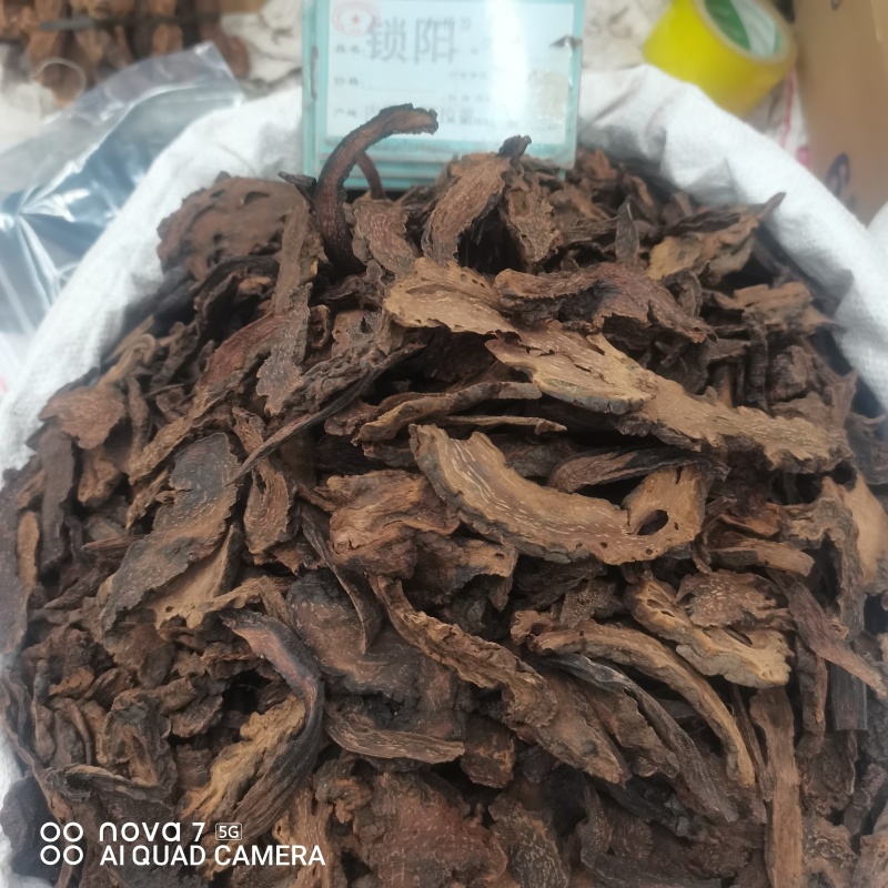【金锁阳】阿拉善金铁锁整个正品锁阳泡茶泡酒料