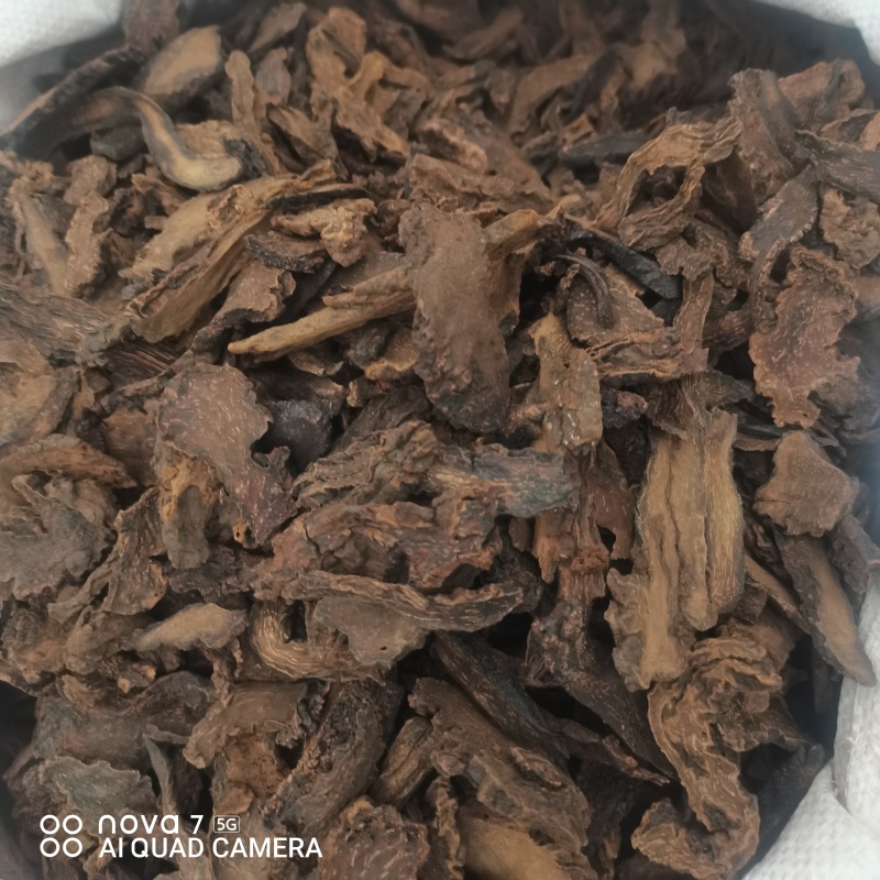 【金锁阳】阿拉善金铁锁整个正品锁阳泡茶泡酒料