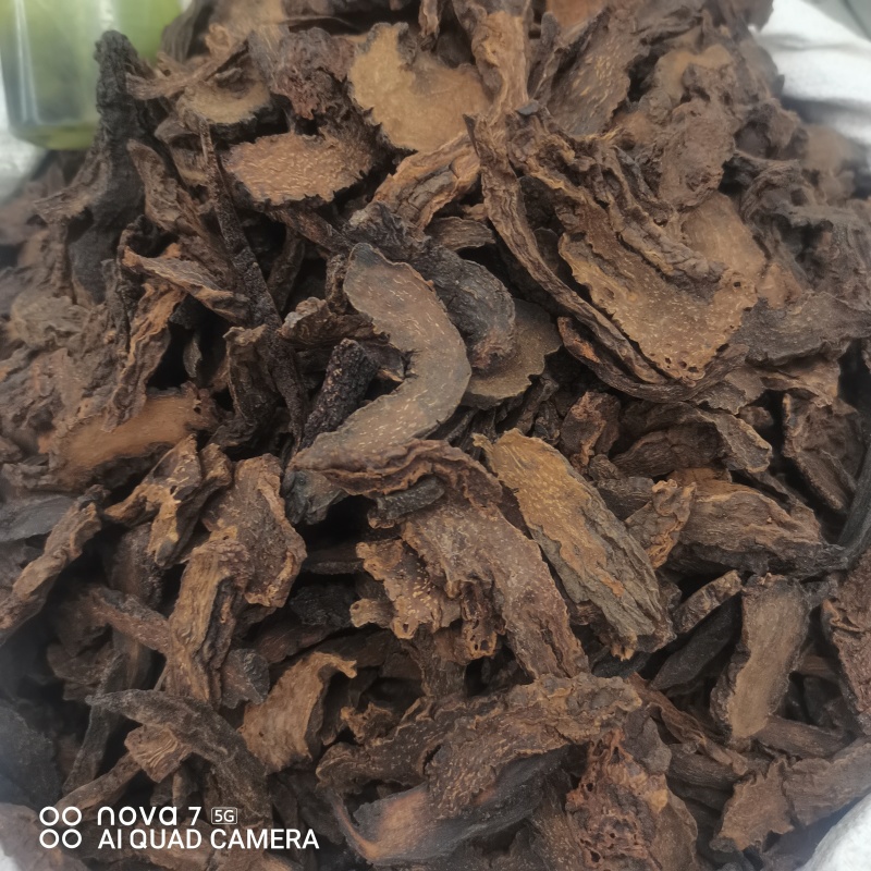 【金锁阳】阿拉善金铁锁整个正品锁阳泡茶泡酒料