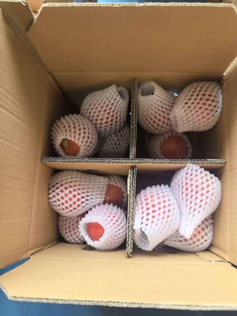 普罗旺斯番茄一件代发