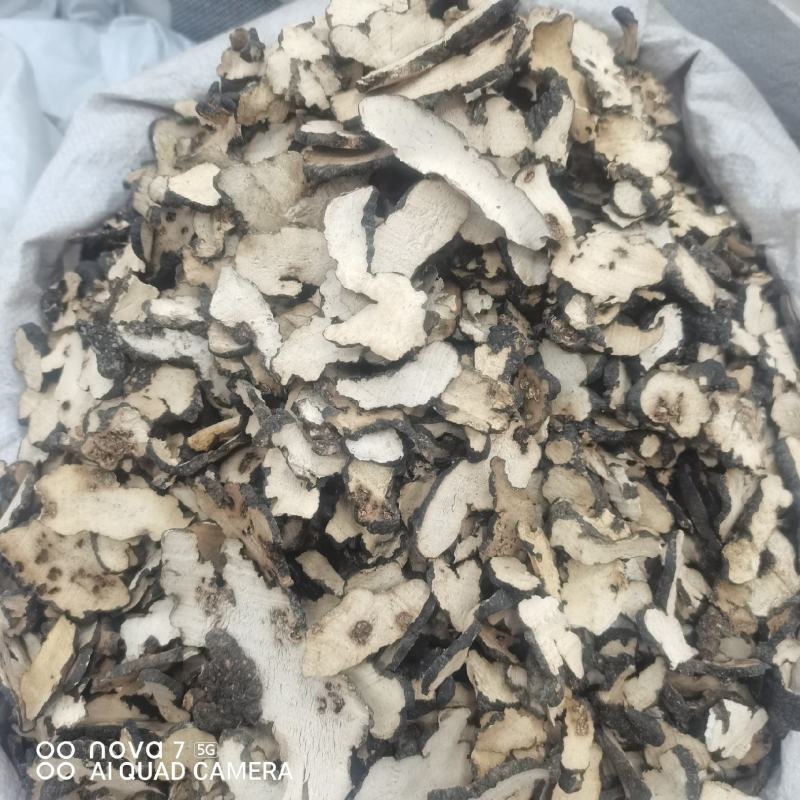 【现货拍照】猪苓片道地中药材新货净货猪苓