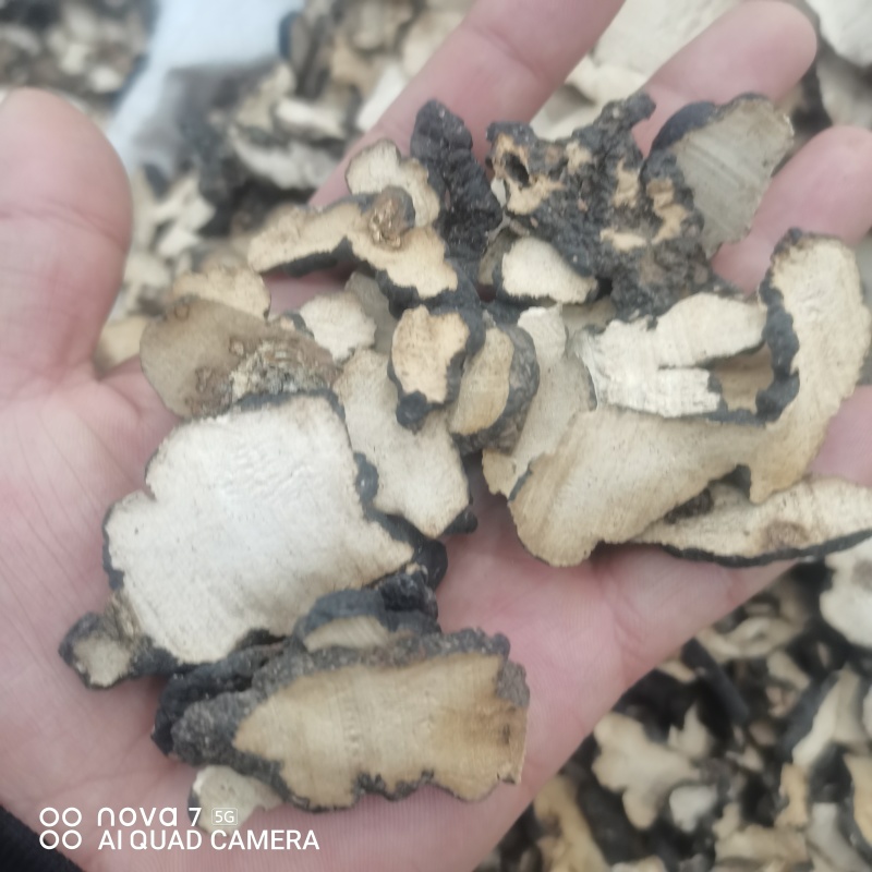 【现货拍照】猪苓片道地中药材新货净货猪苓