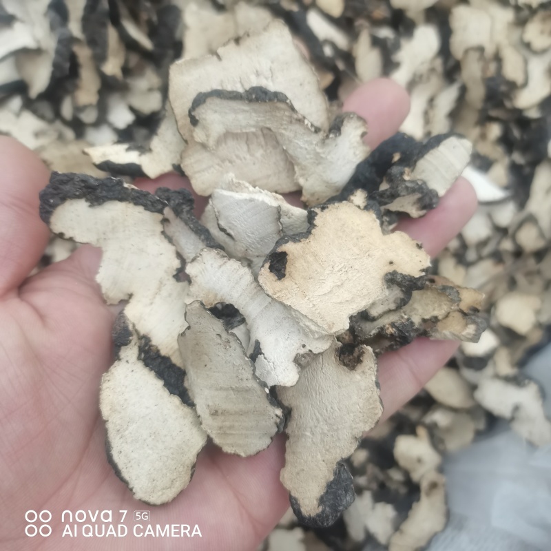 【现货拍照】猪苓片道地中药材新货净货猪苓