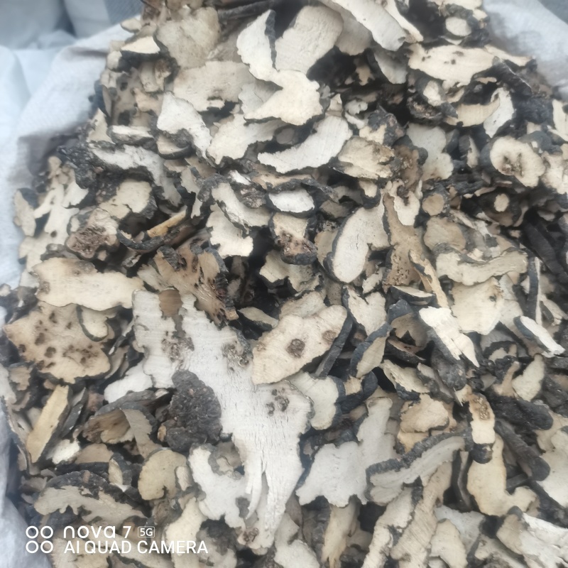 【现货拍照】猪苓片道地中药材新货净货猪苓