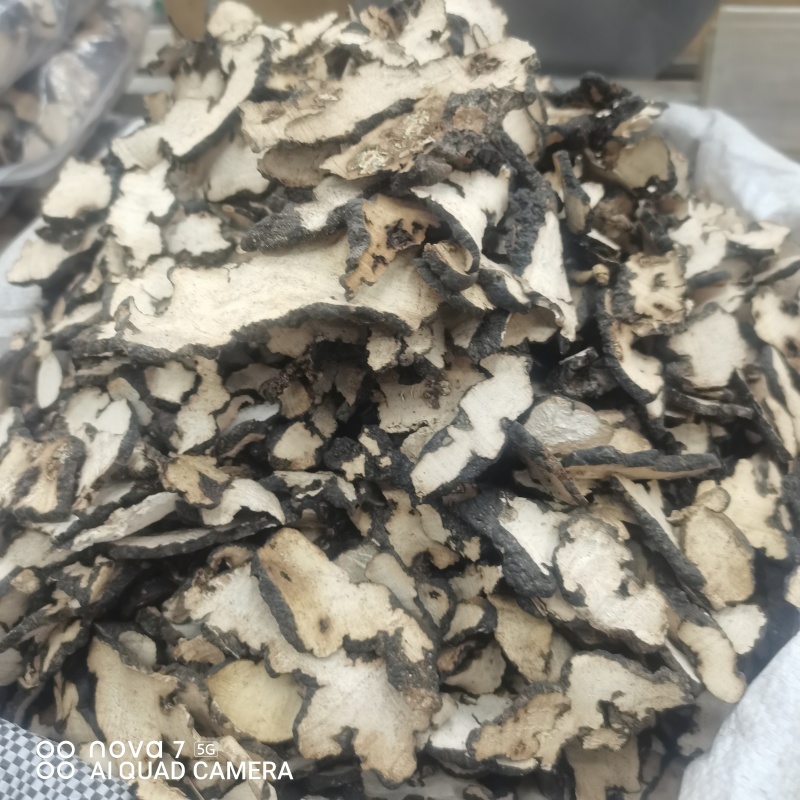 【现货拍照】猪苓片道地中药材新货净货猪苓
