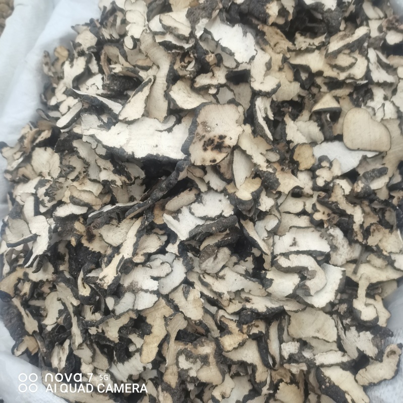 【现货拍照】猪苓片道地中药材新货净货猪苓
