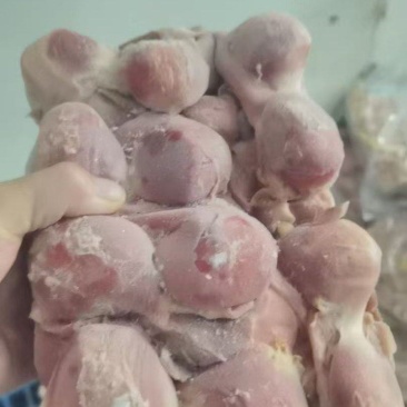 鹅胗