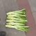 圆叶棒菜四川绵阳圆叶棒菜。肉长无斑版叶棒菜