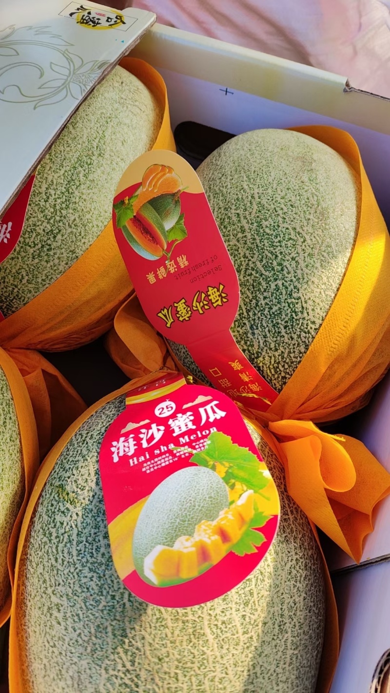海南哈密瓜晓密25号牛山网纹瓜高糖度保质保量
