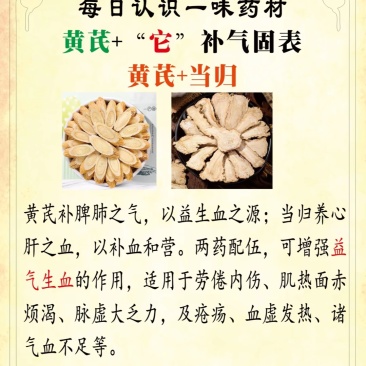 黄芪当归党参