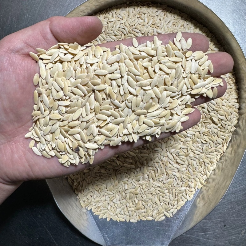 中药材黄瓜籽水洗干净无杂质黄瓜子规格齐全批发