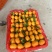 广西桂林沙糖桔大量上市对接超市电商市场批发售后无忧