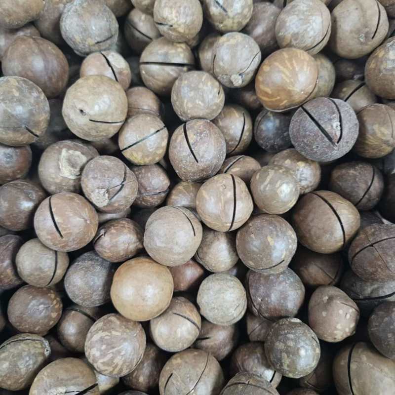 夏威夷果电商货