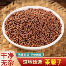 中药材莱菔子生莱菔子炒莱菔子干净无杂质规格齐全