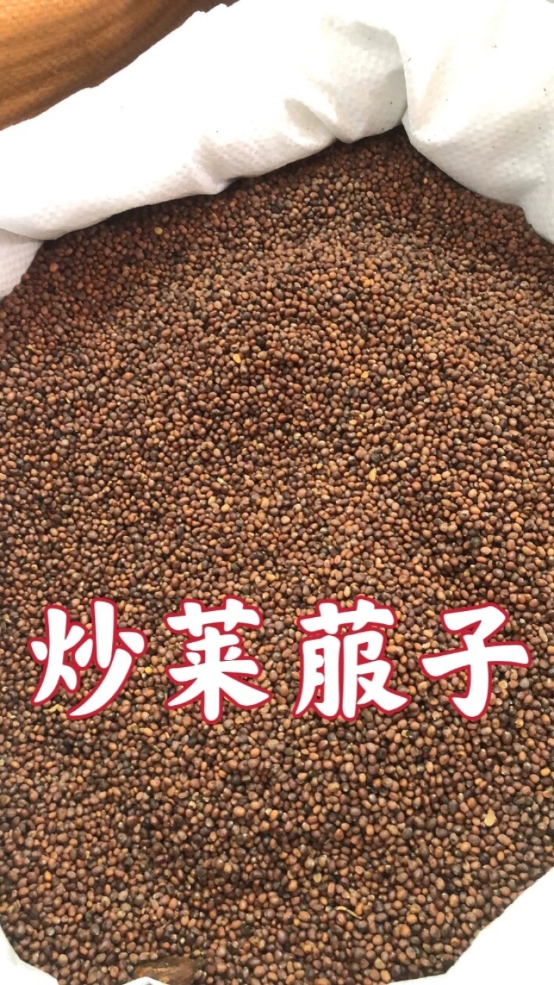 中药材莱菔子生莱菔子炒莱菔子干净无杂质规格齐全