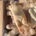 带筋猪蹄20-23个