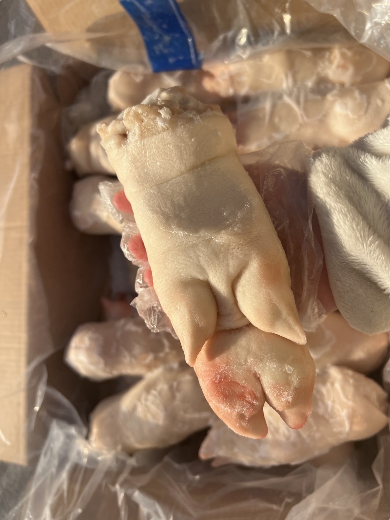 带筋猪蹄20-23个