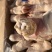 带筋猪蹄20-23个