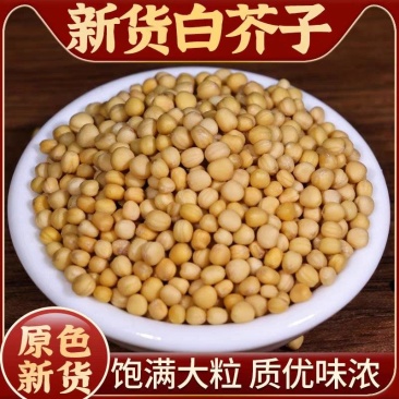 中药材白芥子干净无杂质新货白芥子规格齐全量大从优