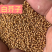 中药材白芥子干净无杂质新货白芥子规格齐全量大从优