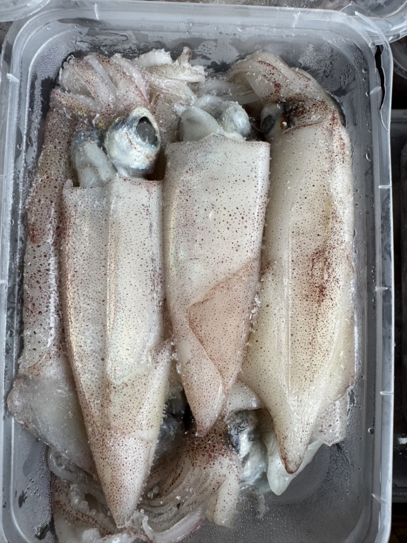 船冻鱿鱼打捞上来分拣直接速冻，口感好，不缩水