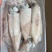 船冻鱿鱼打捞上来分拣直接速冻，口感好，不缩水